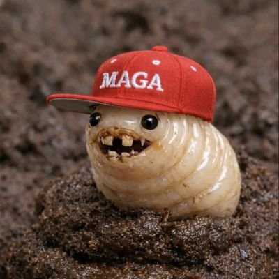 ThomsonSherin's profile picture
