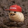 honeybadgersmybitch 的头像