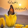 Ali Omar's profile picture