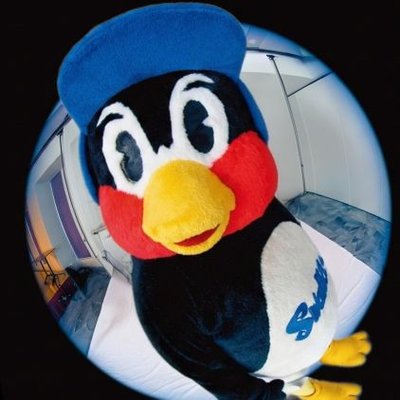 🍤天ぷら🍺's profile picture