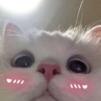 meilyjayr's profile picture