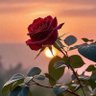 Фото профиля عيماد الزائر