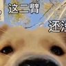 Profilbild von cwy