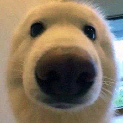sovvviii's profile picture