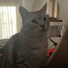 KadikoyOffline profil fotoğrafı
