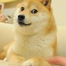 FunnyPosts 的头像