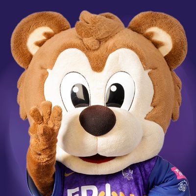 サンチェ Jr【サンフレッチェ広島公式マスコット】🐻's profile picture