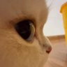 Uwi's profile picture