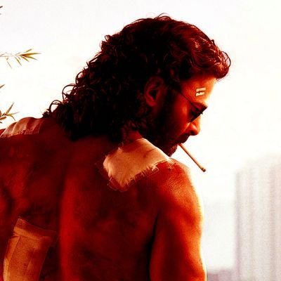 vinay_king_27's profile picture