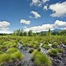 Фото профиля LoveInTheCounty