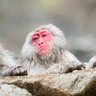 よーへい|ひとり法人8年目|旅と酒と大学生 的头像