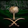 🇸🇦Zahra 的头像