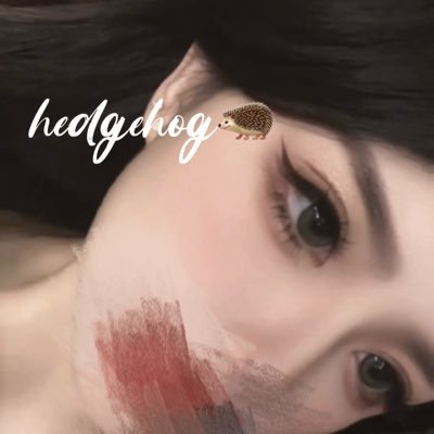 𝓱𝓮𝓭𝓰𝓮𝓱𝓸𝓰🦔's profile picture