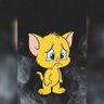 Profilbild von Tomjerry :)))