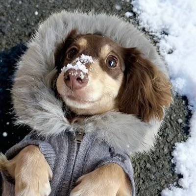 bzaiyy1's profile picture