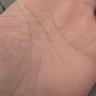 Francesco Marini's profile picture