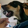 Bhadra Pop's profile picture