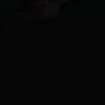 armando's profile picture