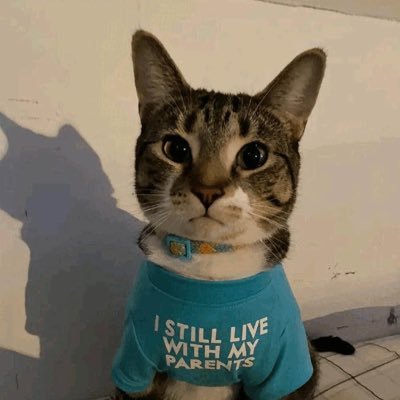 higuyslolxd's profile picture