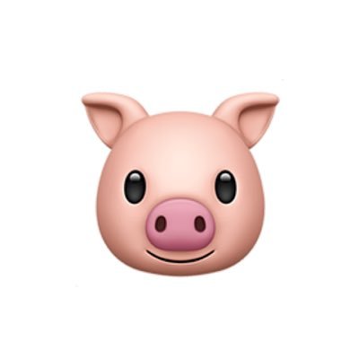🐖's profile picture