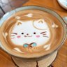 ぺそ profil fotoğrafı