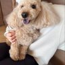 ユウトママ 的头像