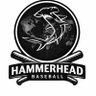 Фото профиля Hammerhead Baseball