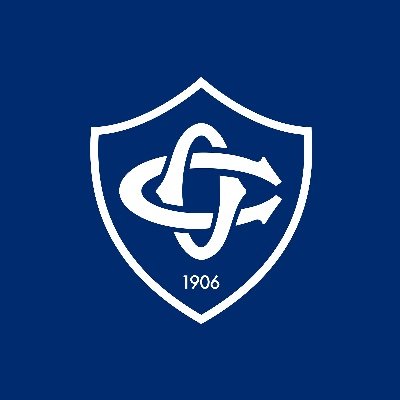 CastresRugby's profile picture