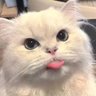 None 的头像