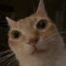 m 🌿's profile picture