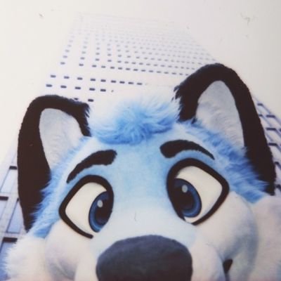 ThatAeroFox's profile picture