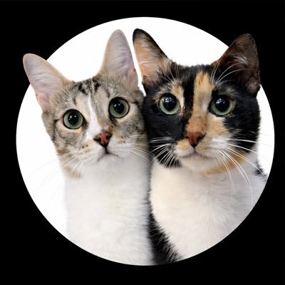 mamaandmycat's profile picture
