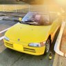 ひょこ YOSHI WEST's profile picture