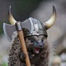 Raging Hedgehog's profile picture