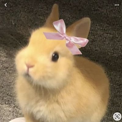 美's profile picture