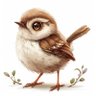 Wren profil fotoğrafı