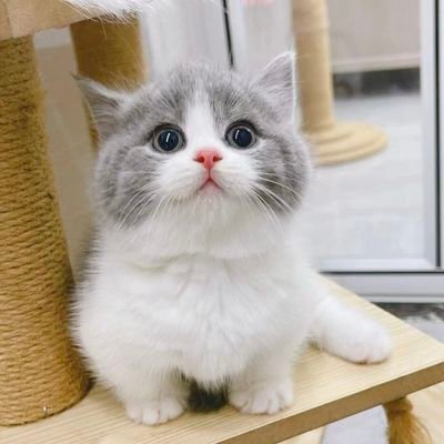 05ShierlyEn's profile picture