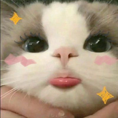 softori_'s profile picture