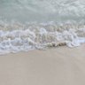 Фото профиля Nathaniel George Bradford