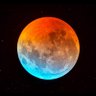 Lunarmood 的头像