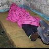 SAMIA MPUMBAVU's profile picture