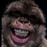 Esteban Dido's profile picture
