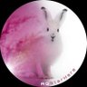 AGStarHare profil fotoğrafı
