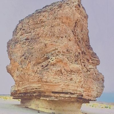 محسن المهري 7m's profile picture