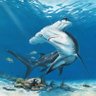 Sharkey 的头像