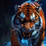 Animal@...1. profil fotoğrafı