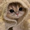 SomonenotNPC2 的头像