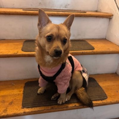 bronxneoliberal's profile picture