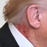 Trump's rotting neck 🪷🐦‍🔥 的头像