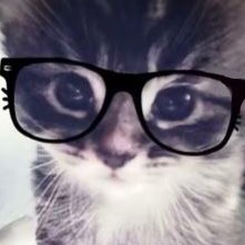 neesh's profile picture